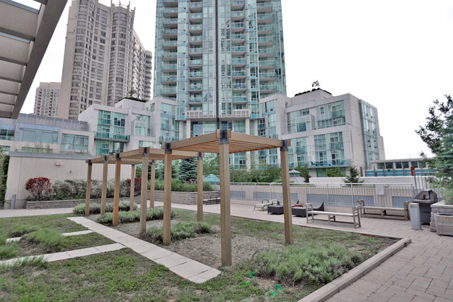 Patio Area