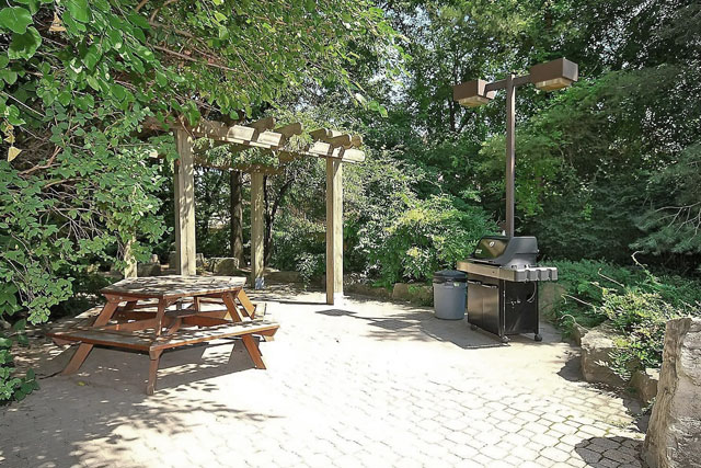 Patio and Barbecue Area
