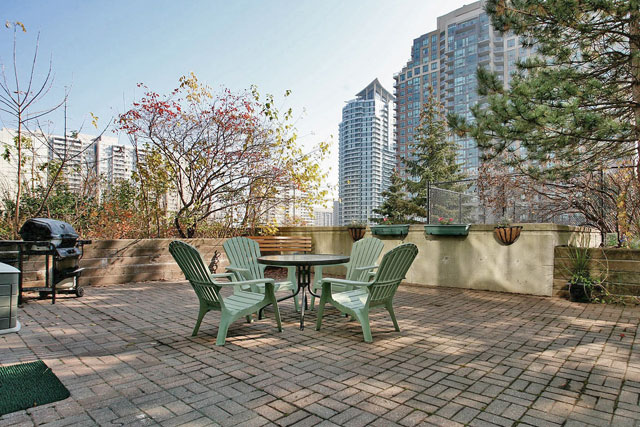Patio and Barbecue Area